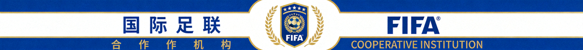 国际足联 FIFA 合作机构标志