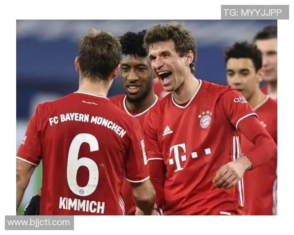 拜仁慕尼黑与本菲卡激战正酣比赛结果揭晓引发热议